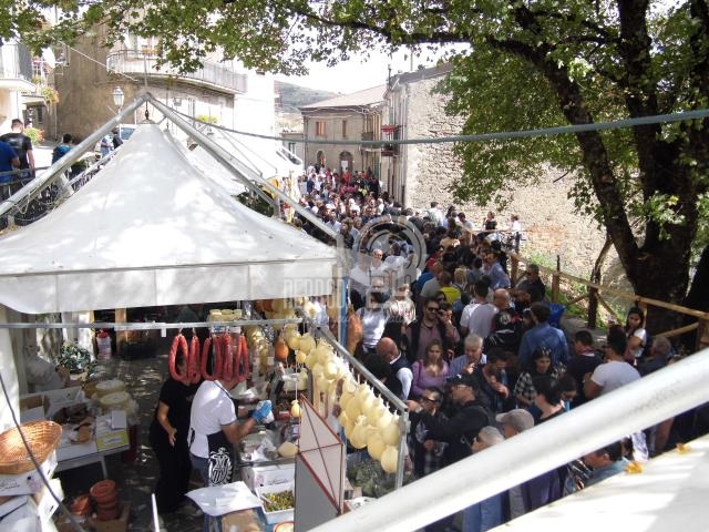 floresta  ottobrando: 15.000 presenze per il suino nero. domenica 16 la sagra del fungo